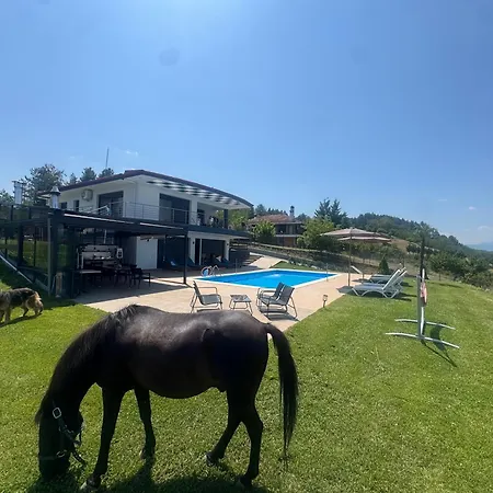 Luxury Rafaela Villa *